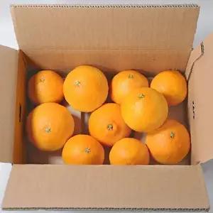 【先行予約】【正品】 愛南マドンナ 3kg 紅まどんなと同品種 山口農園