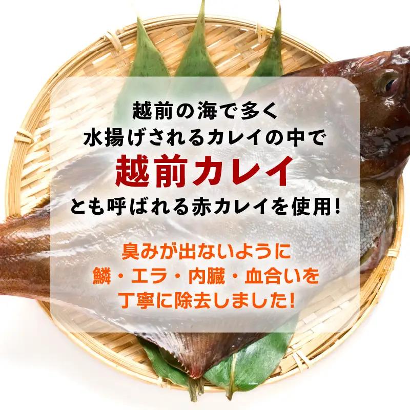 【温めるだけ！焼き調理済み】 国産干物  越前赤かれい 5尾  焼きカレイ 干物 干物 干物 干物 干物  [e15-a006]