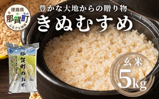 「令和6年産 新米 先行受付」 那賀町相生産 きぬむすめ 玄米 5kg 1袋 「2024年10月上旬より発送」 【徳島 那賀 国産 徳島県産 お米 こめ おこめ 米 ご飯 ごはん 玄米 5キロ 和食 おにぎり お弁当 おいしい 玄米 食べて応援 お取り寄せ 産地直送】YS-36