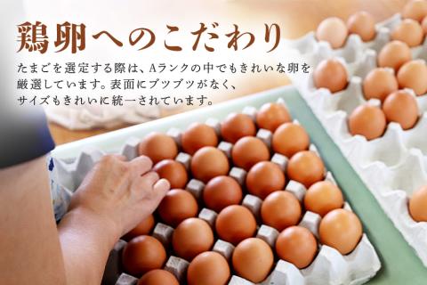 鶏卵60個入り化粧箱 【2ヶ月定期便】 16-C