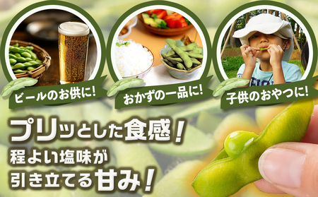 ≪小分けパック≫南国育ちのおいしい枝豆1kg〔LE-3323〕_(都城市) 塩ゆで 枝豆 急速凍結おつまみ おかず いろどり 小分け250g