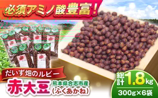 熊本県産 赤大豆（品種 ふくあかね）300g×6袋 【一般社団法人クラッシーノこうし】 [AYAB048]