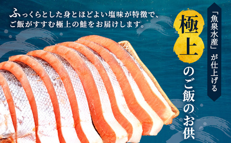 塩銀鮭 訳あり 厚切り 切身 塩銀鮭【3kg(500g×6袋)】【冷凍】