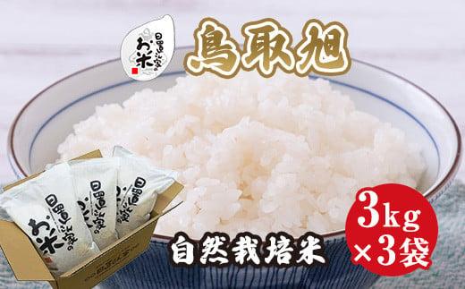 196.日置さん家の自然栽培米「鳥取旭」玄米　3kg×3袋 2026年産 313726_AE016VC02