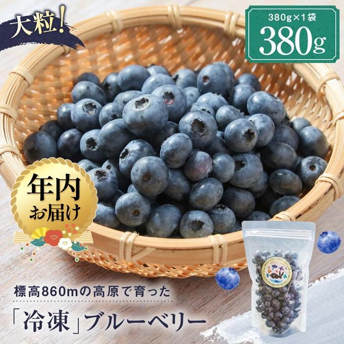 【ふるさと納税】【年内配送が選べる】治助ファームの北部ハイブッシュブルーベリー「冷凍果実」380g×1袋 | 発送時期が選べる 年内発送 国産 フルーツ おやつ 製菓 冷凍 果物 冷凍フルーツ 飛騨高山 治助ファーム LJ005VP