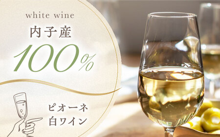 白ワイン (ピオーネ) 約720ml 2本 BKAG009 ワイン