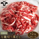 【ふるさと納税】【牧場直送】佐賀県産しろいし牛 万能切落し 1kg（500g×2パック） 【有限会社佐賀セントラル牧場】肉 お肉 牛肉 切り落とし 1kg 冷凍 [IAH005]