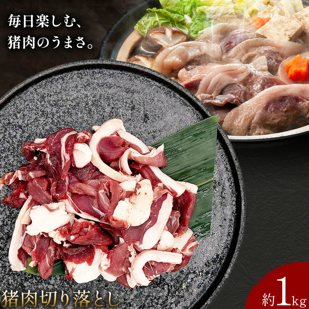 【ふるさと納税】猪肉切り落とし 計約1kg ダブルビーゼット株式会社 (さつまのジビエファクトリー) 《30日以内に出荷予定(土日祝除く)》鹿児島 国産 九州産 ジビエ 冷凍 鹿児島県 さつま町 イノシシ 猪