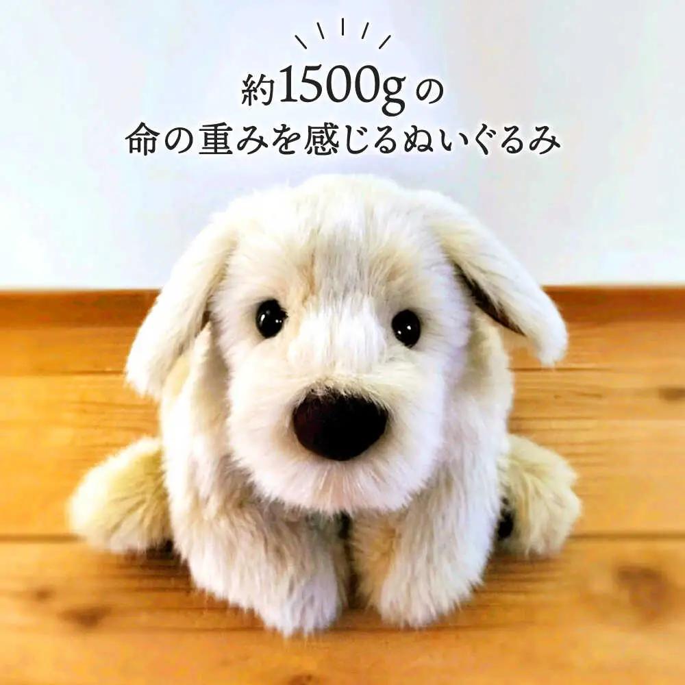 パトランミニ・ナチュラル 糸島市 / 科学工房未来 犬 ペット ぬいぐるみ [AYI007] いぬ 動物