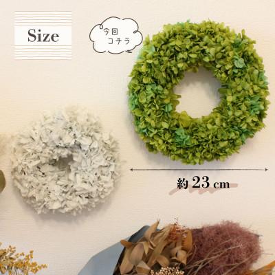 ふるさと納税 美浜町 ブリザーブドフラワー　リース <グリーン>23cm |  | 01