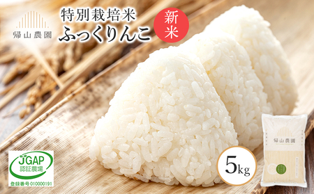 【令和7年産新米予約】 特別栽培米産地直送「ふっくりんこ 5㎏」《帰山農園》 米 こめ 北海道産お米 北海道米 美味しいお米 北海道産米 道産米 