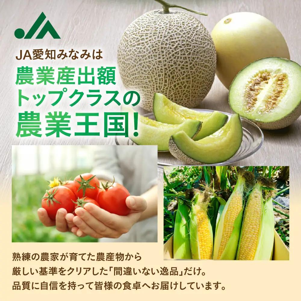 【先行予約】イエローキングメロン 4～6玉 メロン 