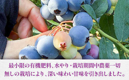 【全2回定期便】青い宝石 国産 急速冷凍ブルーベリー 計約1kg（約500g×2袋） 果物 くだもの フルーツ ぶるーべりー 熊本県 菊陽町【アグファーム株式会社】[BHCX010]