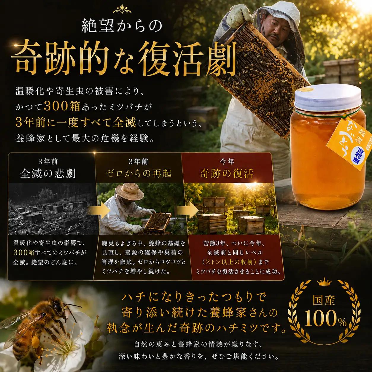 なべとう はちみつ 国産 100％ 百花蜜1kg ｜はちみつ ハチミツ 蜂蜜 国産 福岡県産 川崎町 NBT