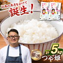 【ふるさと納税】壱岐産米 つや姫 5kg 《壱岐市》 【長米壱岐営業所】[JCZ022] 米 お米 白米 精米 1等米 5キロ ごはん ご飯 特別栽培米 15000 15000円