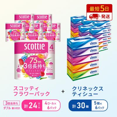 ふるさと納税 岩沼市 ティッシュ+トイレットペーパー6P   [No.5704-1780]