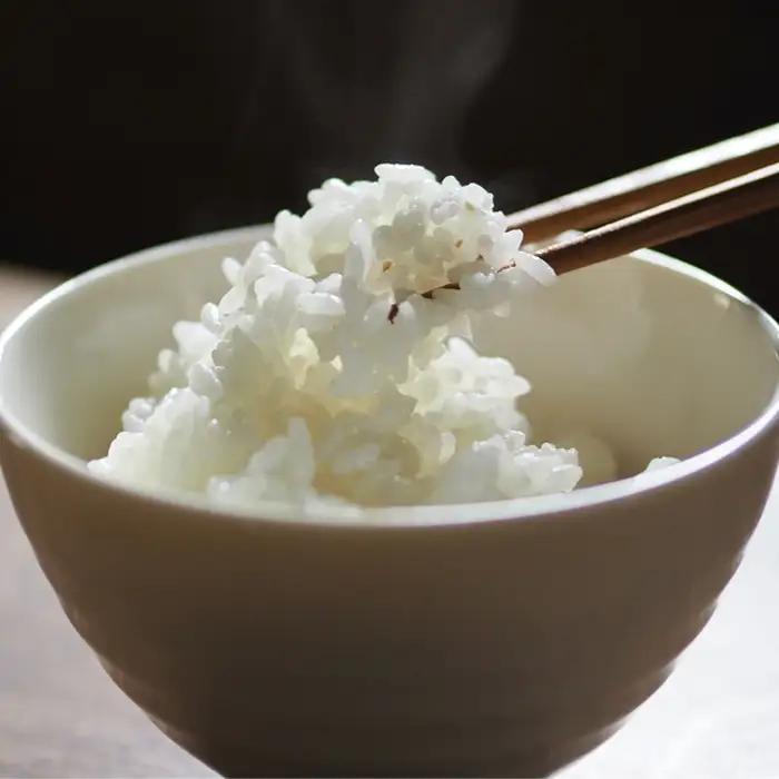 【令和7年産】川名一将さんちの長狭米　長狭米『粒すけ』 5kg [0014-0039]