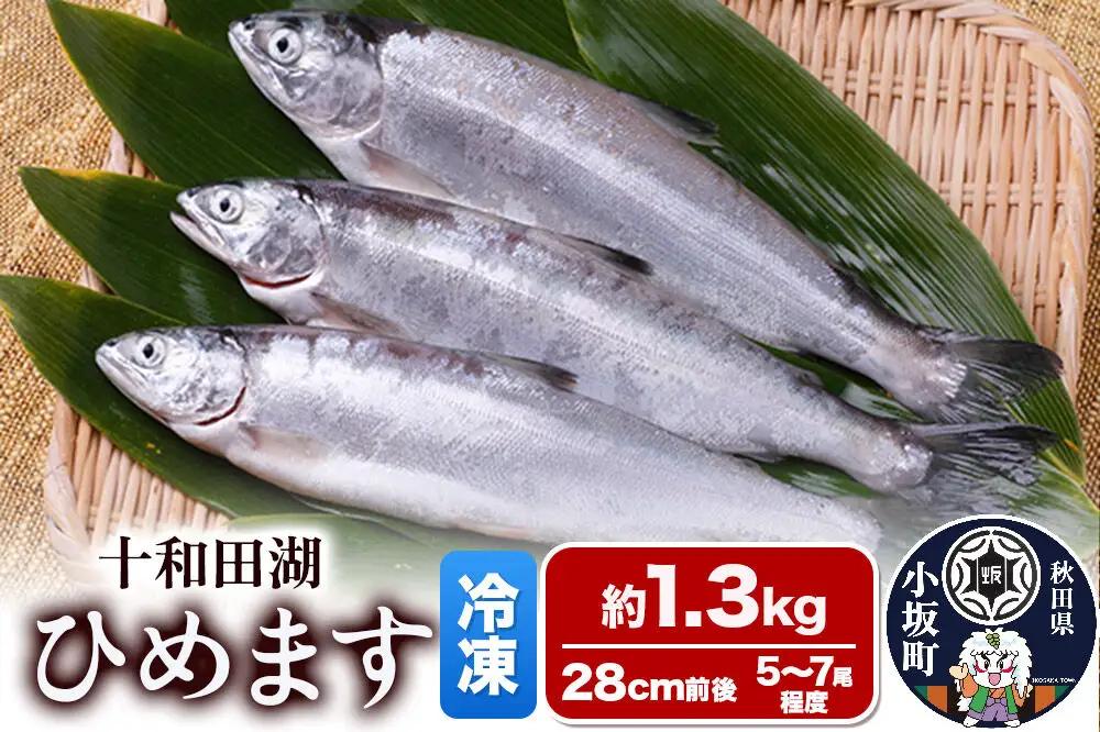 【冷凍】十和田湖ひめます 約1.3kg（28cm前後 5～7尾程度）魚 刺身 塩焼き