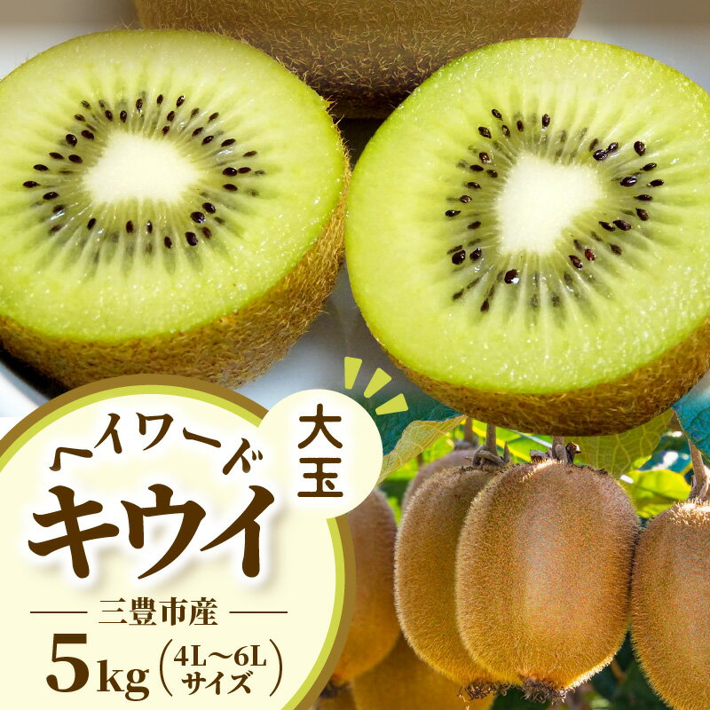 【ふるさと納税】 キウイ 三豊市産 ヘイワードキウイ 【大玉】 5kg (4L〜6Lサイズ 40〜60玉前後) [ グリーンキウイ 国産 果物 香川県 三豊市 産地直送 予約販売 数量限定 贈答用 自宅用 ヘイワード ギフト 送料無料 10000 10,000円 台 三豊産 産直 五色青果 ]