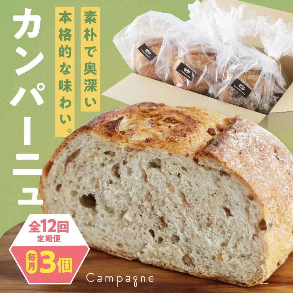 パン【全12回定期便】【冷凍】カンパーニュ3種セット (プレーン・いちじく・五穀)  パン[AGAY053]