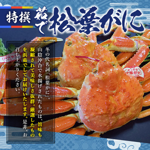 ＜平日着＞＜先行予約！11月中旬～2月末発送予定＞特撰！茹で松葉がに大サイズ(タグ付き・2尾/1.4～1.5kg)国産 魚介 海鮮 カニ かに 蟹 松葉ガニ 松葉蟹 ズワイガニ ずわいがに ボイル 冷