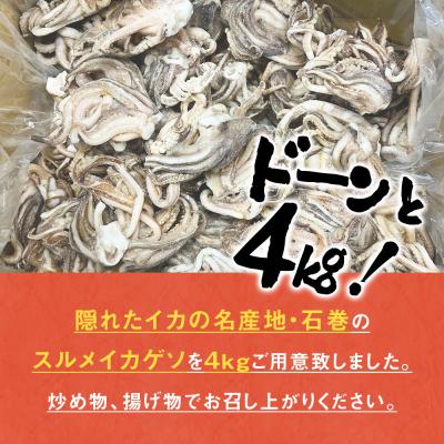 ふるさと納税 石巻市 訳あり 石巻産スルメイカゲソ 4kg 2月配送 冷凍 国産 いか 下足 おつまみ ゲソ天 石巻市 |  | 01