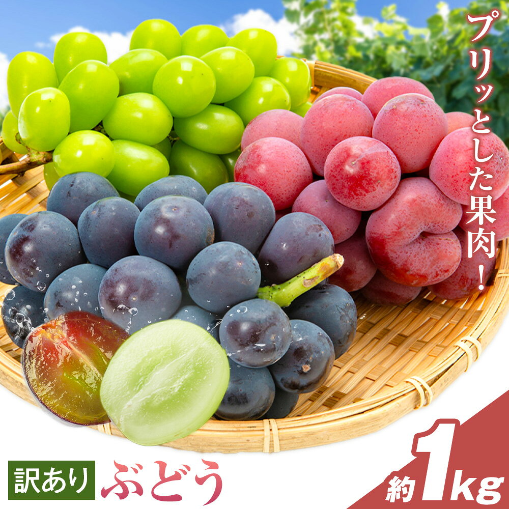 【ふるさと納税】岡山県産 訳あり ぶどう 約1kg 2～3房 Grapes garden goat《8月中旬-9月下旬頃出荷》岡山県 矢掛町 葡萄 果物 スイーツ フルーツ デザート
