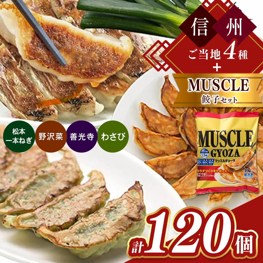 【ふるさと納税】信州ご当地4種＋マッスルギョーザセット | 餃子 ギョーザ低糖質 ご当地 セット 長野県 マッスルギョーザ マッスル餃子 ダイエット 健康志向 長野県 松本市