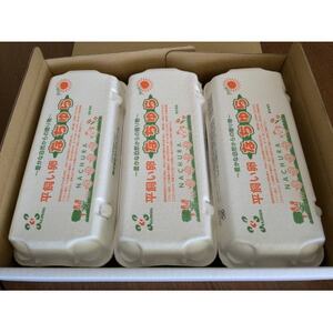 平飼い卵なちゅら(60ヶ入り)_卵 たまご 玉子 タマゴ 鶏卵 まとめ買い オムレツ 卵かけご飯 朝食 料理 人気 美味しい_【配送不可地域：離島】【1585337】