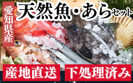 下処理済み 天然魚・切り身・アラセットD タレ付き 岬だより