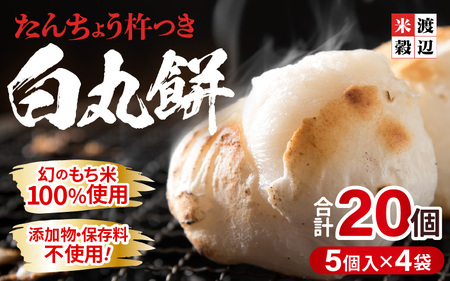 白丸餅 5個 × 4パック 20個入り 餅 おもち たんちょうもち米 [A-2994]