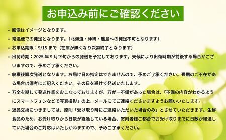 【2025年先行予約】［露地］岡山県産シャインマスカット 700g（１房入）