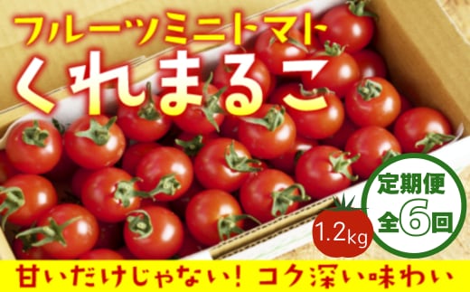 
										
										【定期便全6回 1月～6月毎月お届け】 フルーツミニトマト『くれまるこ』1.2kg フルーツトマト ふるーつとまと とまと トマト 甘い 濃厚 美味しい 箱詰め 高知 久礼 宇井農園
									