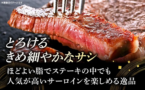 宮崎牛サーロインステーキ 合計1kg