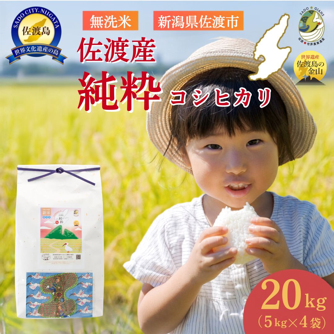 【ふるさと納税】【新潟県佐渡】佐渡産の純粋コシヒカリ20kg＜数量限定＞ 令和7年産 精米【無洗米】5kg×4袋 | お米 こめ 白米 無洗米 食品 数量限定　先行予約　先行販売