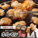 【ふるさと納税】国産 牛肉 ホルモン 1kg 塩だれ漬け 焼肉用 小分け 250g×4P 大阪府 泉佐野市 送料無料 肉の泉佐野