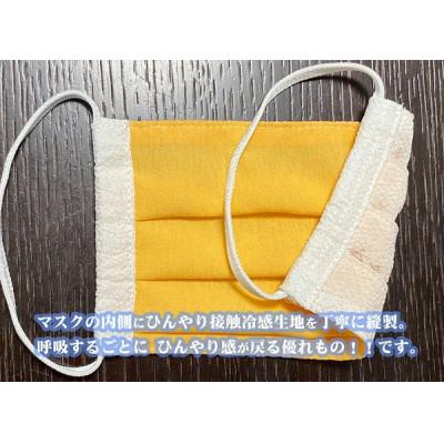 ふるさと納税 与謝野町 【訳あり】 丹後ちりめん接触冷感マスク　カラーおまかせ　5枚セット Lサイズ(男性向け) |  | 01