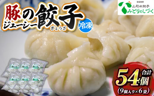 豚のジューシー餃子 9個入り×6袋(計54個) FY25-006