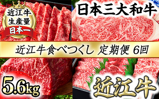 近江牛食べつくし定期便　６回　焼肉　すきしゃぶ　ステーキ【FO17W】
