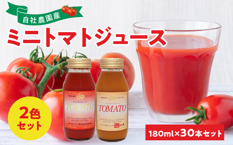 
自社農園産180ml×30本 ミニトマト2色セット サンチェリーミニトマト・オレンジキャロルミニトマト×各15本　100％ 北海道産
