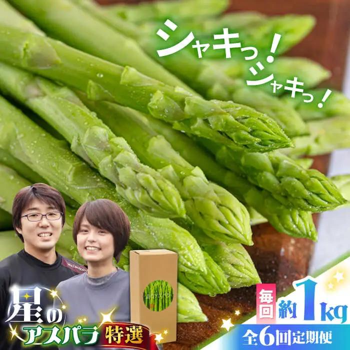 【6回定期便】春＆夏のグリーンアスパラガス 約1kg [SEY011] アスパラ