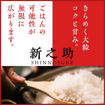 ふるさと納税 妙高市 新潟県上越妙高産 新之助 10kg【順次発送】 |  | 01