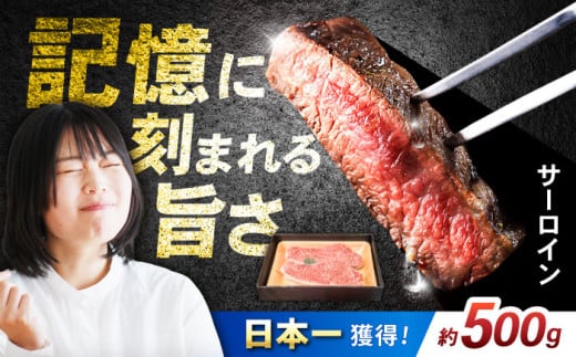 長崎和牛 サーロインステーキ 500g(250g×2) / 牛肉 ぎゅうにく 和牛 国産牛 肉 にく ステーキ すてーき サーロイン / 諫早市 / 肉の牛長 諫早店 [AHEM001]