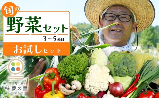 【お試しセット】 野菜セット 3~5品目 トライアル 詰め合せ 季節の野菜 旬の野菜 野菜箱 野菜ボックス 野菜 セット 旬 国産 おまかせ 特産品 冷蔵 BBQ お試し 春野菜 夏野菜 秋野菜 冬野菜 詰合せ 京都 京都丹波 京丹波町 道の駅 味夢の里