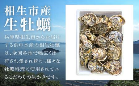 ★先行予約★岩かき　2kg【漁師直送！】2024年5月中旬～発送