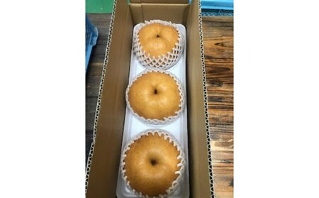 【先行予約】 梨 新高梨 甘熟 味に自信あり！！約2.5kg  3～5玉入 梨
