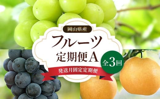 先行予約＜2025年発送> 発送月固定 定期便 岡山県産 フルーツ定期便A 全3回 TY0-0437