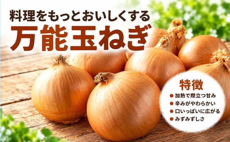 野菜 玉ねぎ・紫玉ねぎ 20kg B&T TRADING株式会社《30日以内に出荷予定(土日祝除く)》北海道 日高町 玉ねぎ 紫玉ねぎ 赤玉ねぎ 北海道産 国産 野菜 大容量 家庭用 常備野菜 サラダ