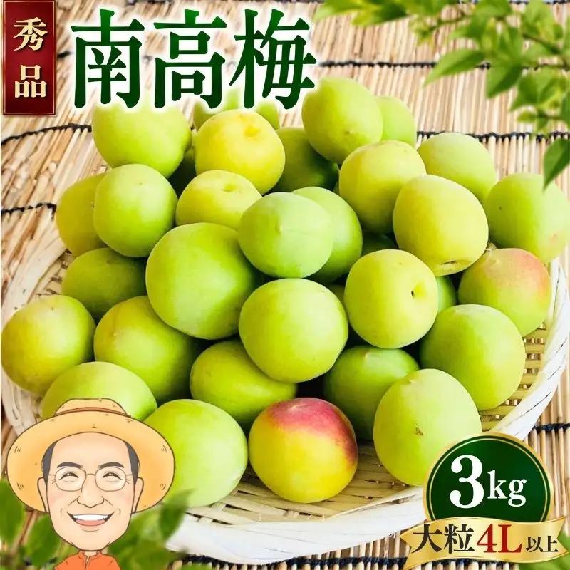 【秀品】南高梅 青梅 約3kg (＋保証100g) 大粒(4L以上) カキエモン農園【BX-kkem039】