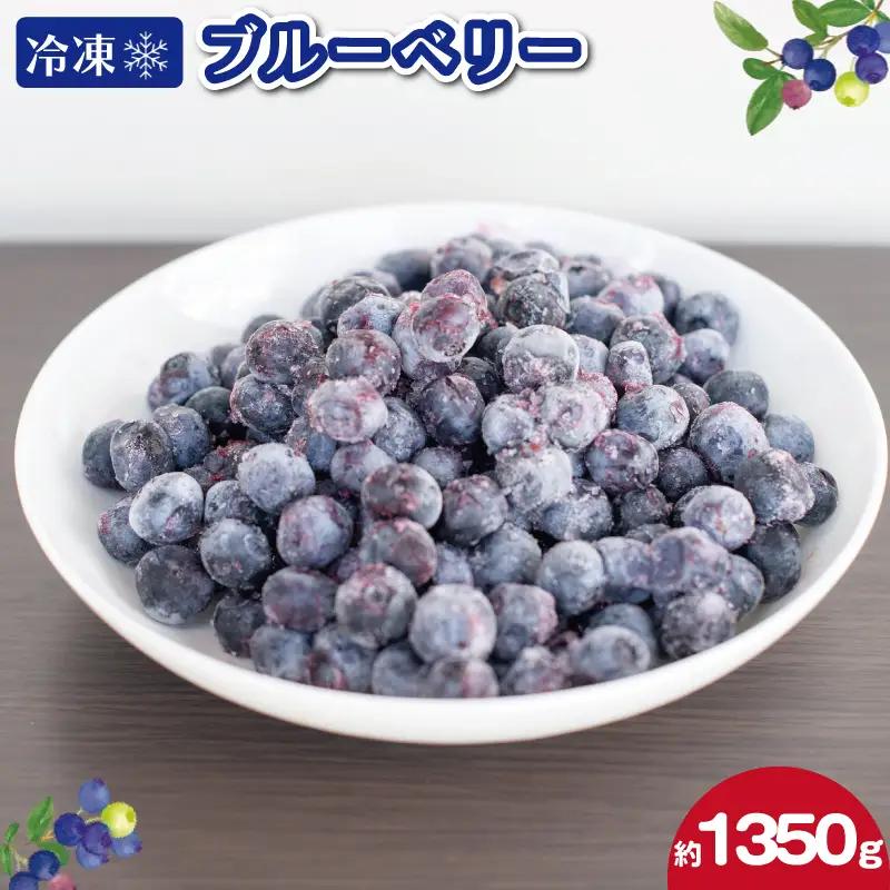 冷凍 ブルーベリー 約1350g 【 ブルーベリー 】